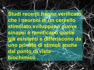 Studi recenti hanno verificato
che i neuroni di un cervello
stimolato sviluppano nuove
sinapsi e ramificano quelle
già esistenti e differiscono da
uno privato di stimoli anche
dal punto di vista
biochimico .

 