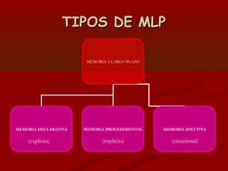 TIPOS DE MLP
MEMORIA A LARGO PLAZO

MEMORIA DECLARATIVA

(explícita)

MEMORIA PROCEDIMENTAL

MEMORIA AFECTIVA

(implícita)

(emocional)

 