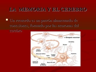 LA MEMORIA Y EL CEREBRO


Un recuerdo es un patrón almacenado de
conexiones, formado por las neuronas del
cerebro

 