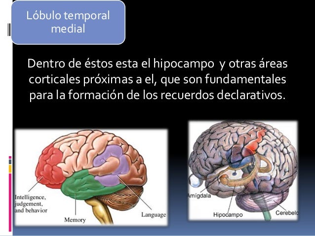 La memoria