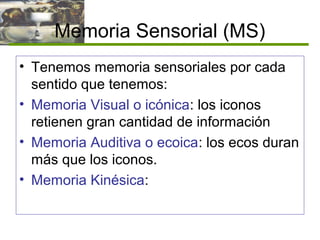 Memoria Sensorial (MS)
• Tenemos memoria sensoriales por cada
sentido que tenemos:
• Memoria Visual o icónica: los iconos
retienen gran cantidad de información
• Memoria Auditiva o ecoica: los ecos duran
más que los iconos.
• Memoria Kinésica:
 