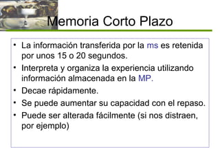 Memoria Corto Plazo
• La información transferida por la ms es retenida
por unos 15 o 20 segundos.
• Interpreta y organiza la experiencia utilizando
información almacenada en la MP.
• Decae rápidamente.
• Se puede aumentar su capacidad con el repaso.
• Puede ser alterada fácilmente (si nos distraen,
por ejemplo)
 