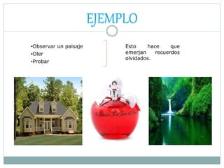•Observar un paisaje
•Oler
•Probar
EJEMPLO
Esto hace que
emerjan recuerdos
olvidados.
 