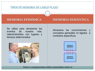 MEMORIA EPISÓDICA MEMORIA SEMÁNTICA
TIPOS DE MEMORIA DE LARGO PLAZO
Se utiliza para almacenar los
eventos de nuestra vida,
relacionándolos con lugares y
tiempos determinados
Almacena los conocimientos y
conceptos generales no ligados a
contextos específicos.
Estos 2 componentes están conectados entre si
 