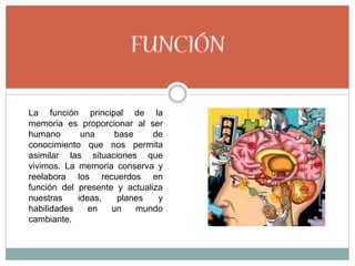 La función principal de la
memoria es proporcionar al ser
humano una base de
conocimiento que nos permita
asimilar las situaciones que
vivimos. La memoria conserva y
reelabora los recuerdos en
función del presente y actualiza
nuestras ideas, planes y
habilidades en un mundo
cambiante.
 