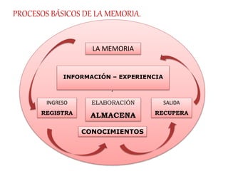 ‘
ELABORACIÓN
ALMACENA
INGRESO
REGISTRA
SALIDA
RECUPERA
INFORMACIÓN – EXPERIENCIA
CONOCIMIENTOS
LA MEMORIA
PROCESOS BÁSICOS DE LA MEMORIA.
 
