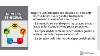 MEMORIA
SENSORIAL
Registra la información que proviene del ambiente
externo durante un segundo y transmite la
información a la memoria a corto plazo.
- La memoria sensorial explora las características
físicas de los estímulos y registras sensaciones.
- La capacidad de la memoria sensorial es grande y
existe un subsistema para cada sentido.
- La duración de la información depende del sentido.
 