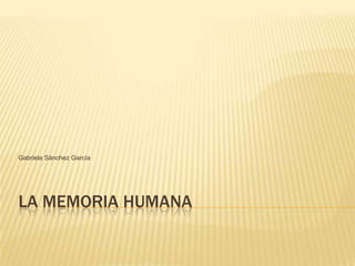 LA MEMORIA HUMANA Gabriela Sánchez García 
