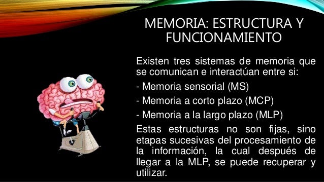 La memoria humana jader vasquez