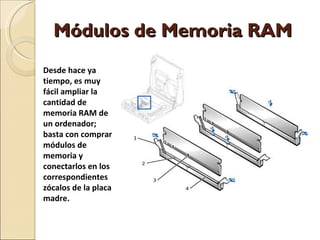 Módulos de Memoria RAM Desde hace ya tiempo, es muy fácil ampliar la cantidad de memoria RAM de un ordenador; basta con comprar módulos de memoria y conectarlos en los correspondientes zócalos de la placa madre. 