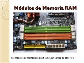 Módulos de Memoria RAM Los módulos de memoria se clasifican según su tipo de conector: 