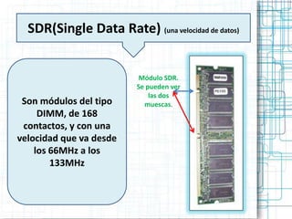 SDR(Single Data Rate) (una velocidad de datos)


                          Módulo SDR.
                         Se pueden ver
                             las dos
 Son módulos del tipo      muescas.
     DIMM, de 168
 contactos, y con una
velocidad que va desde
    los 66MHz a los
        133MHz
 