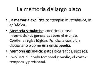 La memoria de largo plazo
• La memoria explicita contempla: lo semántico, lo
  episódico.
• Memoria semántica: conocimientos e
  informaciones generales sobre el mundo.
  Contiene reglas lógicas. Funciona como un
  diccionario o como una enciclopedia.
• Memoria episódica: datos biográficos, sucesos.
• Involucra el lóbulo temporal y medio, el cortex
  temporal y prefrontal.
 