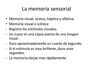 La memoria sensorial
• Memoria visual, ecoica, háptica y olfativa.
• Memoria visual o icónica:
- Registra los estímulos visuales.
- Un icono es una copia exacta de una imagen
  visual.
- Dura aproximadamente un cuarto de segundo.
- Si el estímulo es muy brillante, dura unos
  segundos.
- La memoria decae mas rápidamente
 