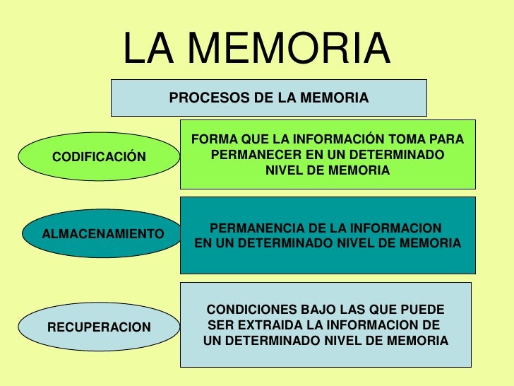 La memoria y su psicopatologia La memoria y su psicopatologia