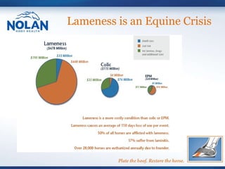 Lameness is an Equine Crisis 