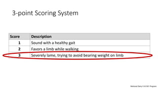 Recognizing Lame Cows Early | PPTX