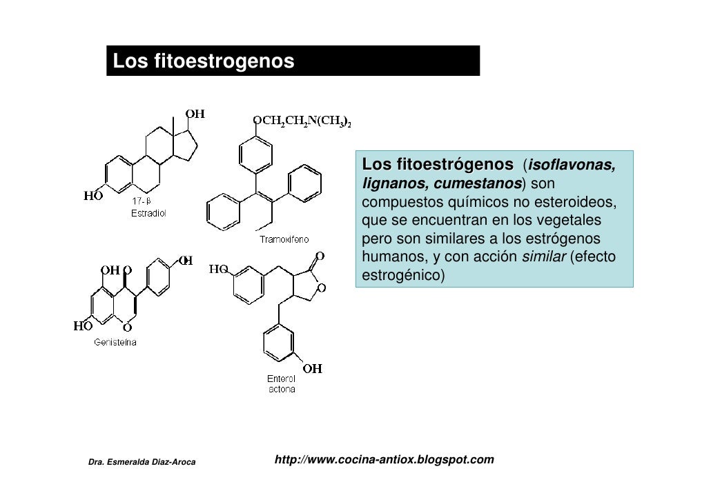 Que proteínas son al adelgazamiento