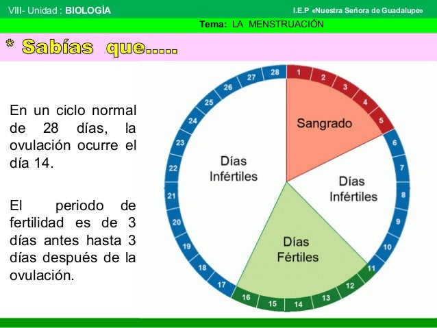 ruleta de la fertilidad