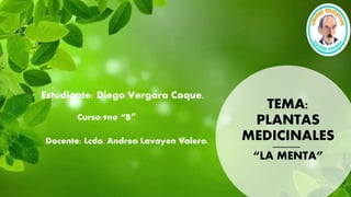 TEMA:
PLANTAS
MEDICINALES
“LA MENTA”
Estudiante: Diego Vergara Coque.
Docente: Lcda. Andrea Lavayen Valero.
Curso:9no “B”
 
