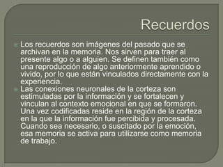  Los recuerdos son imágenes del pasado que se
archivan en la memoria. Nos sirven para traer al
presente algo o a alguien. Se definen también como
una reproducción de algo anteriormente aprendido o
vivido, por lo que están vinculados directamente con la
experiencia.
 Las conexiones neuronales de la corteza son
estimuladas por la información y se fortalecen y
vinculan al contexto emocional en que se formaron.
Una vez codificadas reside en la región de la corteza
en la que la información fue percibida y procesada.
Cuando sea necesario, o suscitado por la emoción,
esa memoria se activa para utilizarse como memoria
de trabajo.
 