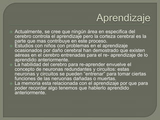  Actualmente, se cree que ningún área en especifica del
cerebro controla el aprendizaje pero la corteza cerebral es la
parte que mas contribuye en este proceso.
 Estudios con niños con problemas en el aprendizaje
ocasionados por daño cerebral han demostrado que existen
aéreas en el cerebro entrenadas para el re- aprendizaje de lo
aprendido anteriormente.
 La habilidad del cerebro para re-aprender envuelve el
concepto de neuronas redundantes y circuitos: estas
neuronas y circuitos se pueden “entrenar” para tomar ciertas
funciones de las neruonas dañadas o muertas.
 La memoria esta relacionada con el aprendizaje por que para
poder recordar algo tenemos que hablerlo aprendido
anteriormente.
 