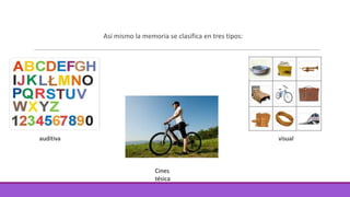 Así mismo la memoria se clasifica en tres tipos:

auditiva

visual

Cines
tésica

 