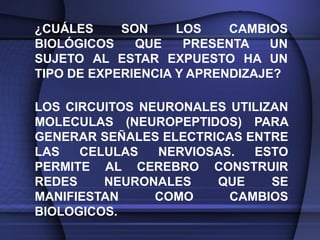 ¿CUÁLES     SON     LOS    CAMBIOS
BIOLÓGICOS    QUE    PRESENTA    UN
SUJETO AL ESTAR EXPUESTO HA UN
TIPO DE EXPERIENCIA Y APRENDIZAJE?

LOS CIRCUITOS NEURONALES UTILIZAN
MOLECULAS (NEUROPEPTIDOS) PARA
GENERAR SEÑALES ELECTRICAS ENTRE
LAS   CELULAS   NERVIOSAS.  ESTO
PERMITE AL CEREBRO CONSTRUIR
REDES    NEURONALES    QUE     SE
MANIFIESTAN     COMO     CAMBIOS
BIOLOGICOS.
 