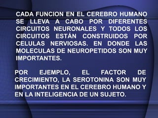 CADA FUNCION EN EL CEREBRO HUMANO
SE LLEVA A CABO POR DIFERENTES
CIRCUITOS NEURONALES Y TODOS LOS
CIRCUITOS ESTÁN CONSTRUIDOS POR
CELULAS NERVIOSAS. EN DONDE LAS
MOLECULAS DE NEUROPETIDOS SON MUY
IMPORTANTES.

POR     EJEMPLO,    EL   FACTOR  DE
CRECIMIENTO, LA SEROTONINA SON MUY
IMPORTANTES EN EL CEREBRO HUMANO Y
EN LA INTELIGENCIA DE UN SUJETO.
 