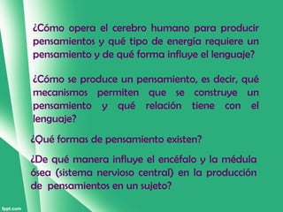 ¿Cómo opera el cerebro humano para producir
pensamientos y qué tipo de energía requiere un
pensamiento y de qué forma influye el lenguaje?

¿Cómo se produce un pensamiento, es decir, qué
mecanismos permiten que se construye un
pensamiento y qué relación tiene con el
lenguaje?
¿Qué formas de pensamiento existen?
¿De qué manera influye el encéfalo y la médula
ósea (sistema nervioso central) en la producción
de pensamientos en un sujeto?
 