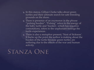 In this stanza, Gillian Clarke talks about green turtles and their ultimate search for safe breeding grounds on the shore. There is presence of an oxymoron in the phrase “pulsing burden”. ‘Pulsing” refers to the energy of the baby turtle and ‘burden’, which has negative connotations, refers to the unpleasant feelings the turtle experiences.There is also a metaphor present; ‘Nest of Sickness’. It backs up the point the author is making about the burden of the turtle because green turtles are suffering due to the effects of the war and human activity.Stanza One