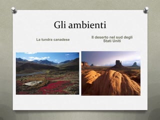 Gli ambienti
La tundra canadese
Il deserto nel sud degli
Stati Uniti
 