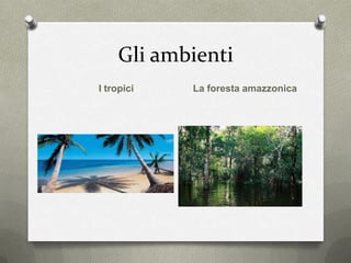 Gli ambienti
I tropici La foresta amazzonica
 
