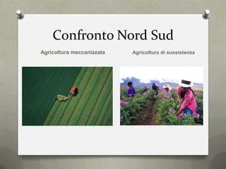Confronto Nord Sud
Agricoltura meccanizzata Agricoltura di sussistenza
 