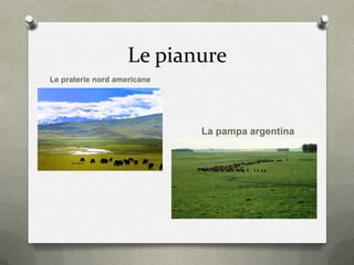 Le pianure
Le praterie nord americane
La pampa argentina
 