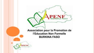 1
Association pour la Promotion de
l’Education Non Formelle
BURKINA FASO
 