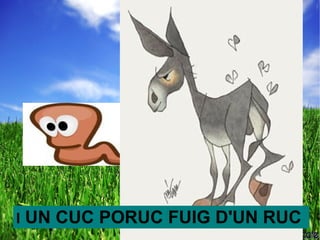I UN CUC PORUC FUIG D'UN RUC