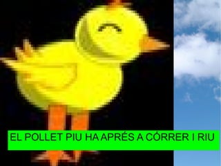 EL POLLET PIU HA APRÉS A CÓRRER I RIU