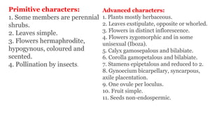 Primitive characters:
1. Some members are perennial
shrubs.
2. Leaves simple.
3. Flowers hermaphrodite,
hypogynous, coloured and
scented.
4. Pollination by insects.
Advanced characters:
1. Plants mostly herbaceous.
2. Leaves exstipulate, opposite or whorled.
3. Flowers in distinct inflorescence.
4. Flowers zygomorphic and in some
unisexual (Iboza).
5. Calyx gamosepalous and bilabiate.
6. Corolla gamopetalous and bilabiate.
7. Stamens epipetalous and reduced to 2.
8. Gynoecium bicarpellary, syncarpous,
axile placentation.
9. One ovule per loculus.
10. Fruit simple.
11. Seeds non-endospermic.
 