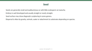 Seed
Seeds are generally small and exalbuminous or with little endosperm at maturity.
Embryo is well developed and usually straight or nearly straight.
Seed surface may show diagnostic sculpturing in some genera.
Dispersal is often by gravity, animals, water or attachment to substrates depending on species.
Lamiaceae | MSc Teaching PPT • 17
 