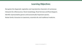 Learning Objectives
Recognize the diagnostic vegetative and reproductive characters of Lamiaceae.
Interpret the inflorescence, floral morphology, floral formula and floral diagram.
Identify representative genera and economically important species.
Relate family characters to taxonomy, essential oils and traditional medicine.
Lamiaceae | MSc Teaching PPT • 2
 