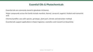 Essential Oils & Phytochemicals
Essential oils are commonly stored in glandular trichomes.
Major compounds across the family include menthol, thymol, carvacrol, eugenol, linalool and rosmarinic
acid.
Chemical profiles vary with species, genotype, plant part, climate and extraction method.
Essential oils support applications in food, fragrance, cosmetics and research on bioactivity.
Lamiaceae | MSc Teaching PPT • 24
 