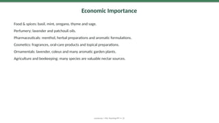 Economic Importance
Food & spices: basil, mint, oregano, thyme and sage.
Perfumery: lavender and patchouli oils.
Pharmaceuticals: menthol, herbal preparations and aromatic formulations.
Cosmetics: fragrances, oral-care products and topical preparations.
Ornamentals: lavender, coleus and many aromatic garden plants.
Agriculture and beekeeping: many species are valuable nectar sources.
Lamiaceae | MSc Teaching PPT • 25
 