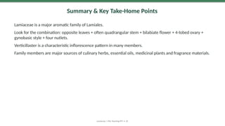 Summary & Key Take-Home Points
Lamiaceae is a major aromatic family of Lamiales.
Look for the combination: opposite leaves + often quadrangular stem + bilabiate flower + 4-lobed ovary +
gynobasic style + four nutlets.
Verticillaster is a characteristic inflorescence pattern in many members.
Family members are major sources of culinary herbs, essential oils, medicinal plants and fragrance materials.
Lamiaceae | MSc Teaching PPT • 29
 