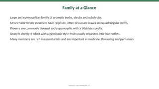 Family at a Glance
Large and cosmopolitan family of aromatic herbs, shrubs and subshrubs.
Most characteristic members have opposite, often decussate leaves and quadrangular stems.
Flowers are commonly bisexual and zygomorphic with a bilabiate corolla.
Ovary is deeply 4-lobed with a gynobasic style; fruit usually separates into four nutlets.
Many members are rich in essential oils and are important in medicine, flavouring and perfumery.
Lamiaceae | MSc Teaching PPT • 3
 