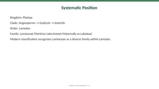 Systematic Position
Kingdom: Plantae
Clade: Angiosperms → Eudicots → Asterids
Order: Lamiales
Family: Lamiaceae Martinov (also known historically as Labiatae)
Modern classification recognizes Lamiaceae as a diverse family within Lamiales.
Lamiaceae | MSc Teaching PPT • 4
 