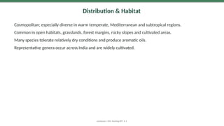Distribution & Habitat
Cosmopolitan; especially diverse in warm temperate, Mediterranean and subtropical regions.
Common in open habitats, grasslands, forest margins, rocky slopes and cultivated areas.
Many species tolerate relatively dry conditions and produce aromatic oils.
Representative genera occur across India and are widely cultivated.
Lamiaceae | MSc Teaching PPT • 5
 
