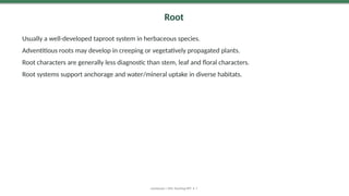 Root
Usually a well-developed taproot system in herbaceous species.
Adventitious roots may develop in creeping or vegetatively propagated plants.
Root characters are generally less diagnostic than stem, leaf and floral characters.
Root systems support anchorage and water/mineral uptake in diverse habitats.
Lamiaceae | MSc Teaching PPT • 7
 