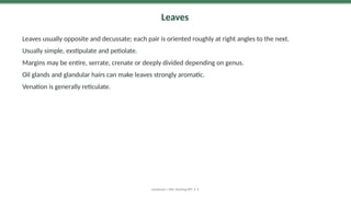 Leaves
Leaves usually opposite and decussate; each pair is oriented roughly at right angles to the next.
Usually simple, exstipulate and petiolate.
Margins may be entire, serrate, crenate or deeply divided depending on genus.
Oil glands and glandular hairs can make leaves strongly aromatic.
Venation is generally reticulate.
Lamiaceae | MSc Teaching PPT • 9
 