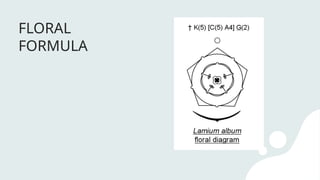 FLORAL
FORMULA
 